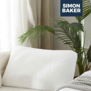Aloe Vera Memory Foam Pillow